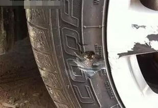 汽车补轮胎多少钱 汽车补轮胎多少钱