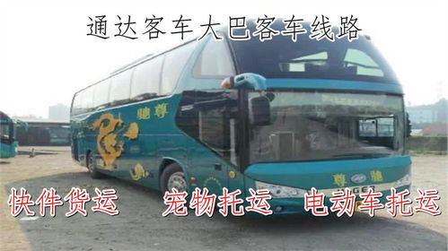 邵阳到深圳汽车多少钱