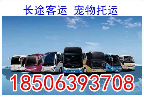 合肥到金寨汽车多少钱