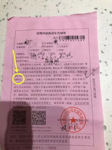 汽车罚单多少钱