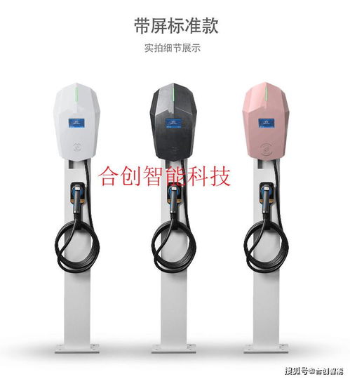 比亚迪汽车充电器多少伏