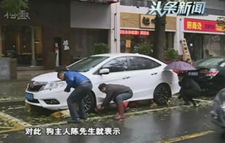 汽车撞死人赔偿多少 汽车撞死人赔偿多少