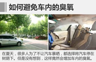 汽车臭氧消毒多少钱
