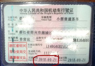 新汽车年审费用多少呢