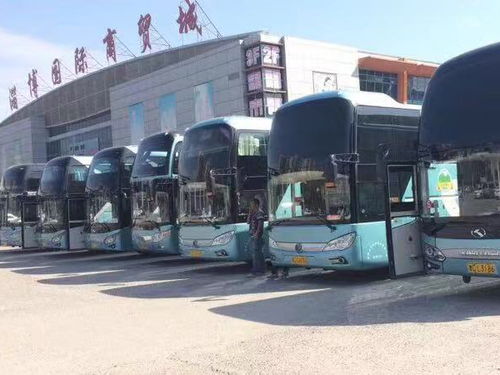 烟台到东营汽车多少钱