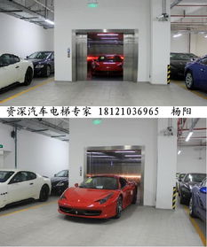 宜阳汽车电梯价格多少