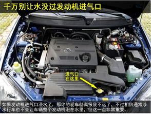 加装汽车散热面罩多少钱 加装汽车散热面罩多少钱