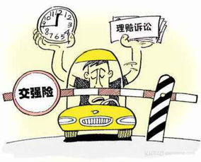 汽车强险交多少 汽车强险交多少