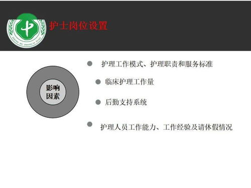 汽车油蜡分为多少层