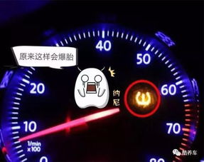 汽车胎压多少省油