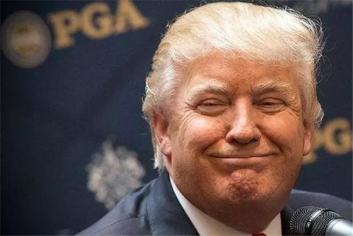 格陵兰岛总理回怼特朗普:真是够了
