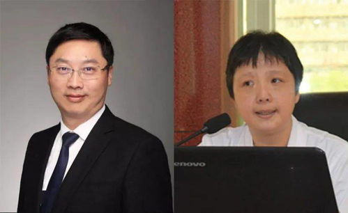 实拍啄木鸟公司被查现场 实拍啄木鸟公司被查现场