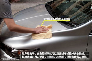 汽车保养打蜡多少钱