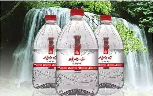 汽车最多能带多少白酒