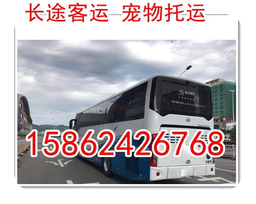 镇安汽车到汉中多少钱 镇安汽车到汉中多少钱