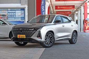 中国多少家庭出行靠汽车 中国多少家庭出行靠汽车