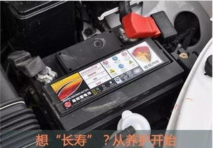汽车电瓶怎么算废了多少 汽车电瓶怎么算废了多少