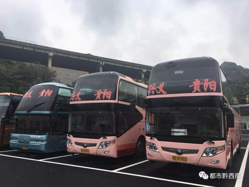 贵阳到兴义汽车多少钱