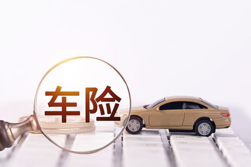 汽车年险多少钱