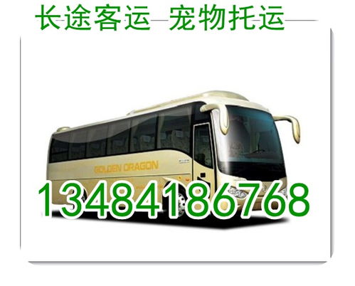 郑州到平湖汽车多少钱