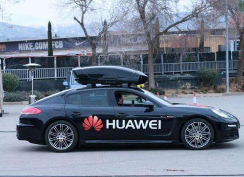 轿车安装汽车雷达多少钱