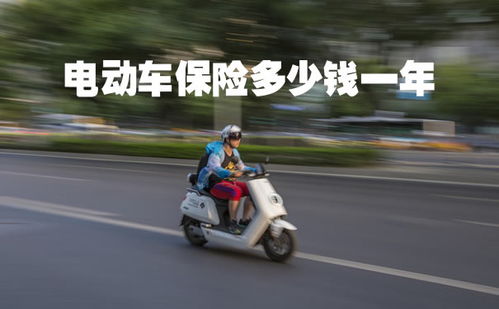 电动汽车上险多少钱