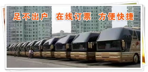 碧口到广元汽车多少钱