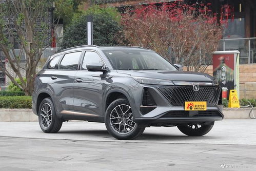 抢手的长安汽车多少钱
