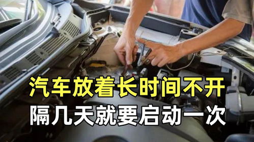 汽车放多少时间不脏
