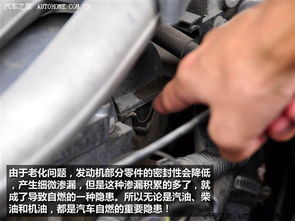 汽车排查短路多少钱
