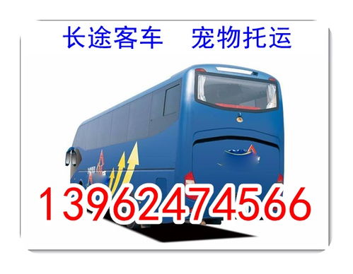 泰安汽车补贴多少钱 泰安汽车补贴多少钱