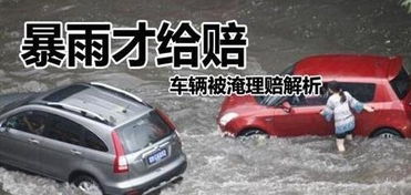 汽车被水淹保险赔多少