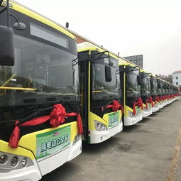 开封有多少辆公交汽车