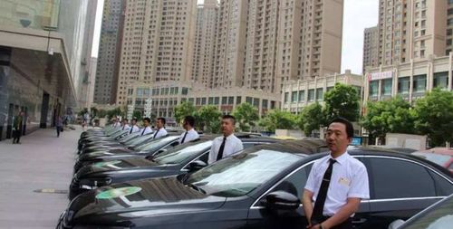 洮南市私家汽车数量多少