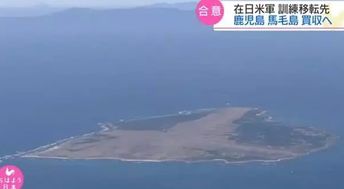 特朗普向无人岛加税 岛上挤满了企鹅
