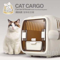 猫咪汽车托运多少钱