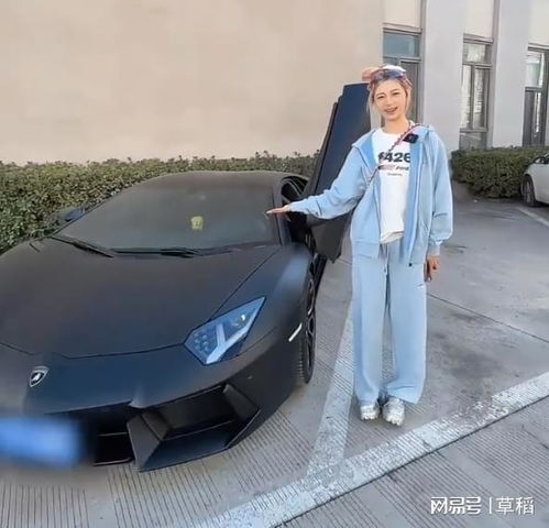 痞幼汽车多少钱 痞幼汽车多少钱