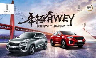 中国有多少名牌汽车名称
