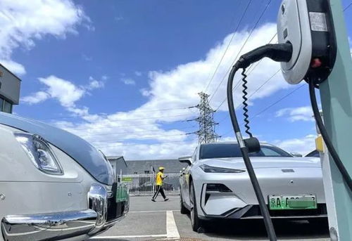 平安到循化汽车多少钱