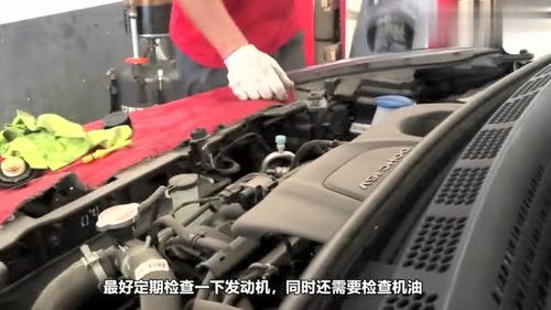 汽车没保养能开多少油费 汽车没保养能开多少油费