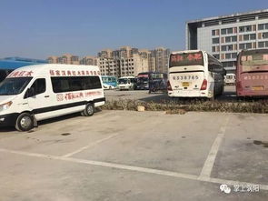 涡阳到蚌埠汽车多少钱