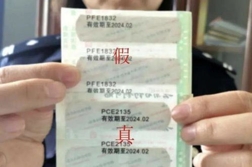 嘉祥到乳山汽车票多少钱(嘉祥至乳山汽车票价详解，多少钱一张票？