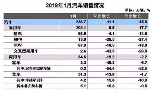 雨林汽车油耗多少(雨林汽车油耗多少，全面解析与影响因素探讨)