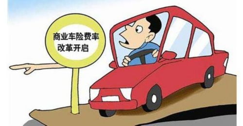 汽车去胶费用多少(汽车去胶费用详解，了解费用构成与影响因素)
