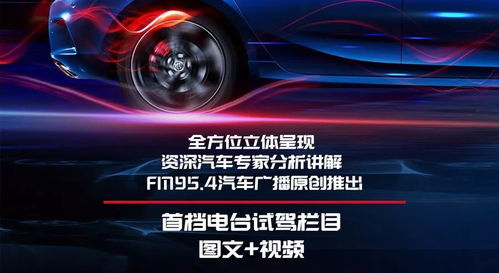 汽车广播月薪多少(汽车广播行业月薪揭秘)