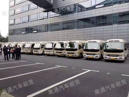 金山汽车城有多少汽车(揭秘金山汽车城，汽车的数量与多样)