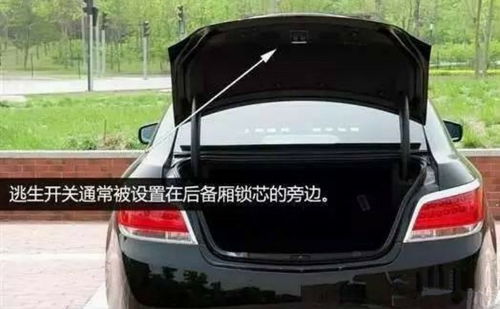 汽车折价多少(汽车折价的奥秘，了解车辆价值下降多少的艺术)