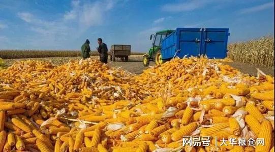 猛帆汽车零部件多少钱(猛帆汽车零部件价格概览)