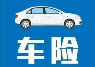 多少人买汽车商业险一年(多少人买汽车商业险一年，汽车保险市场的现状与趋势分析)