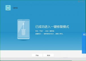华为电脑死机怎么搞(华为电脑死机问题解析与解决方案)